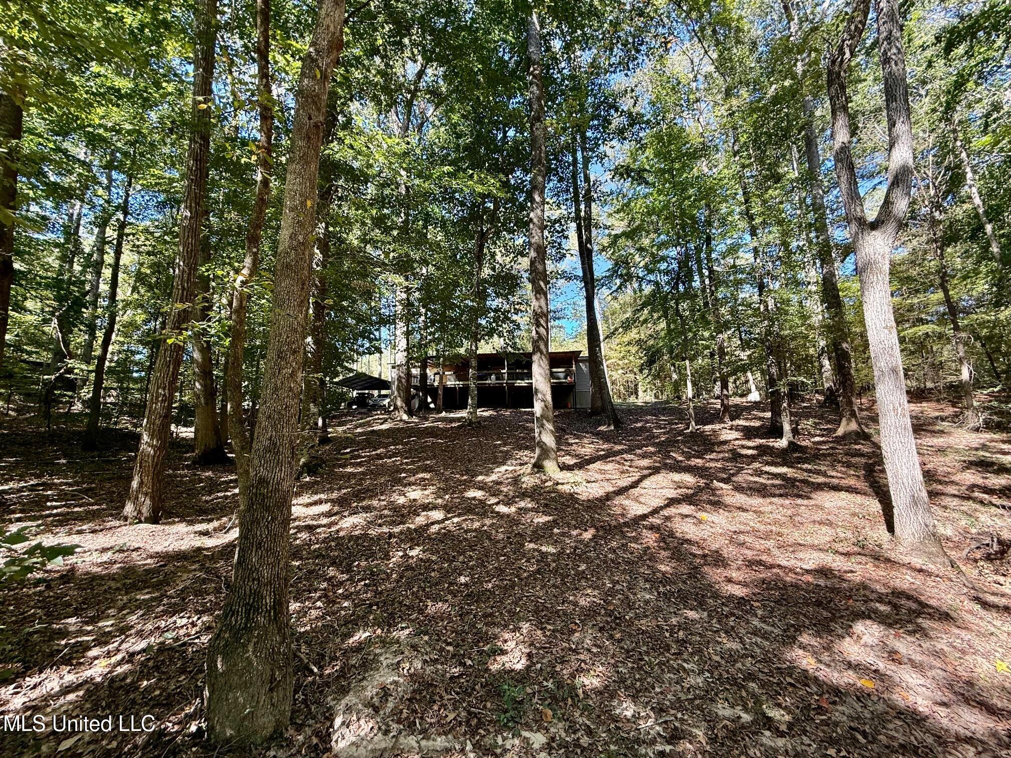 118 Craig Road Property Photo 12