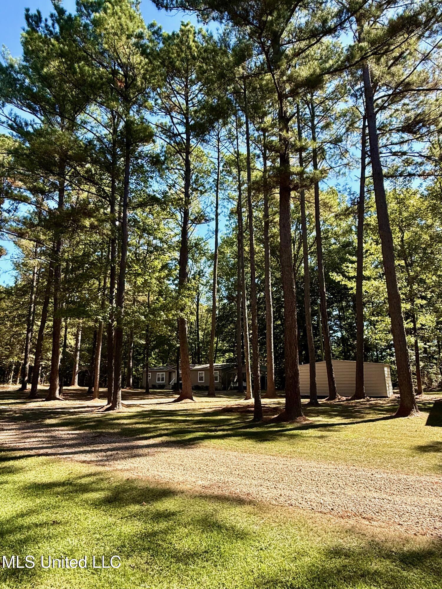 118 Craig Road Property Photo 15