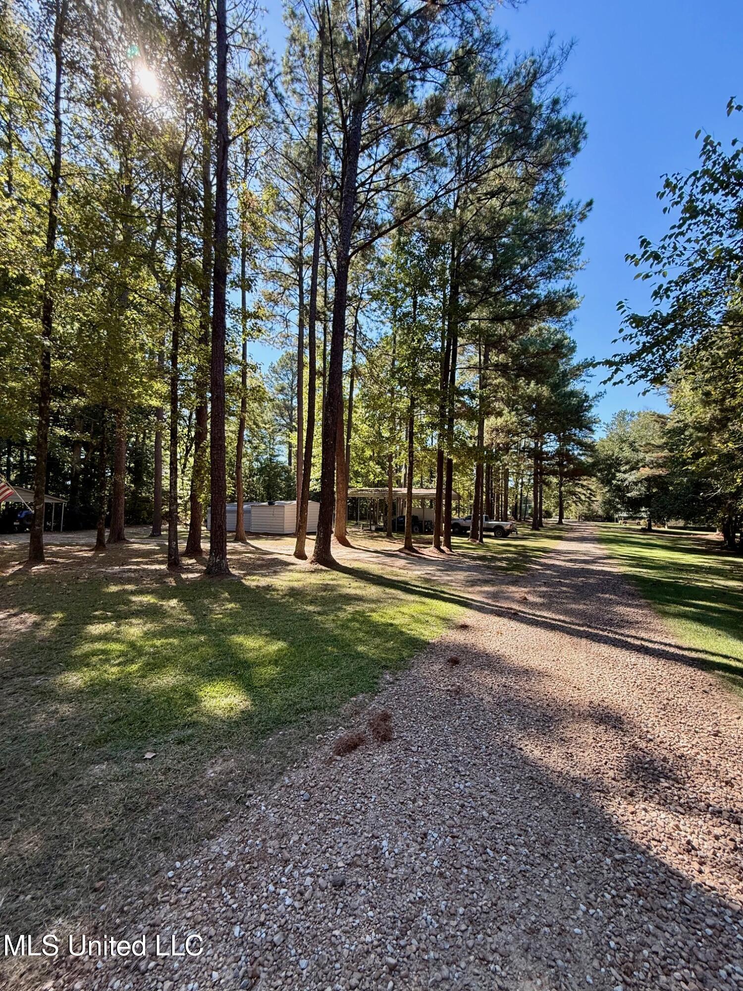 118 Craig Road Property Photo 17