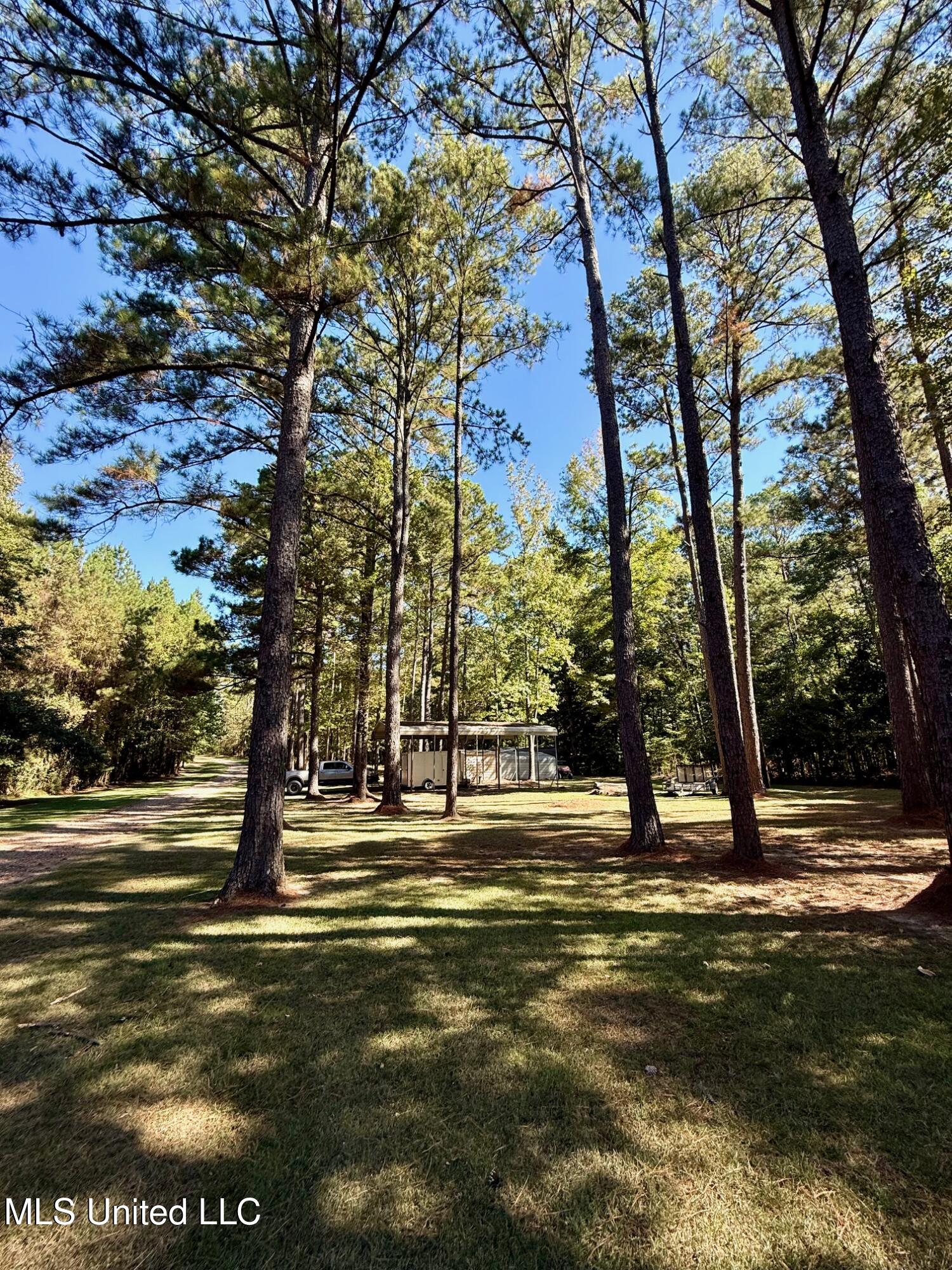 118 Craig Road Property Photo 18