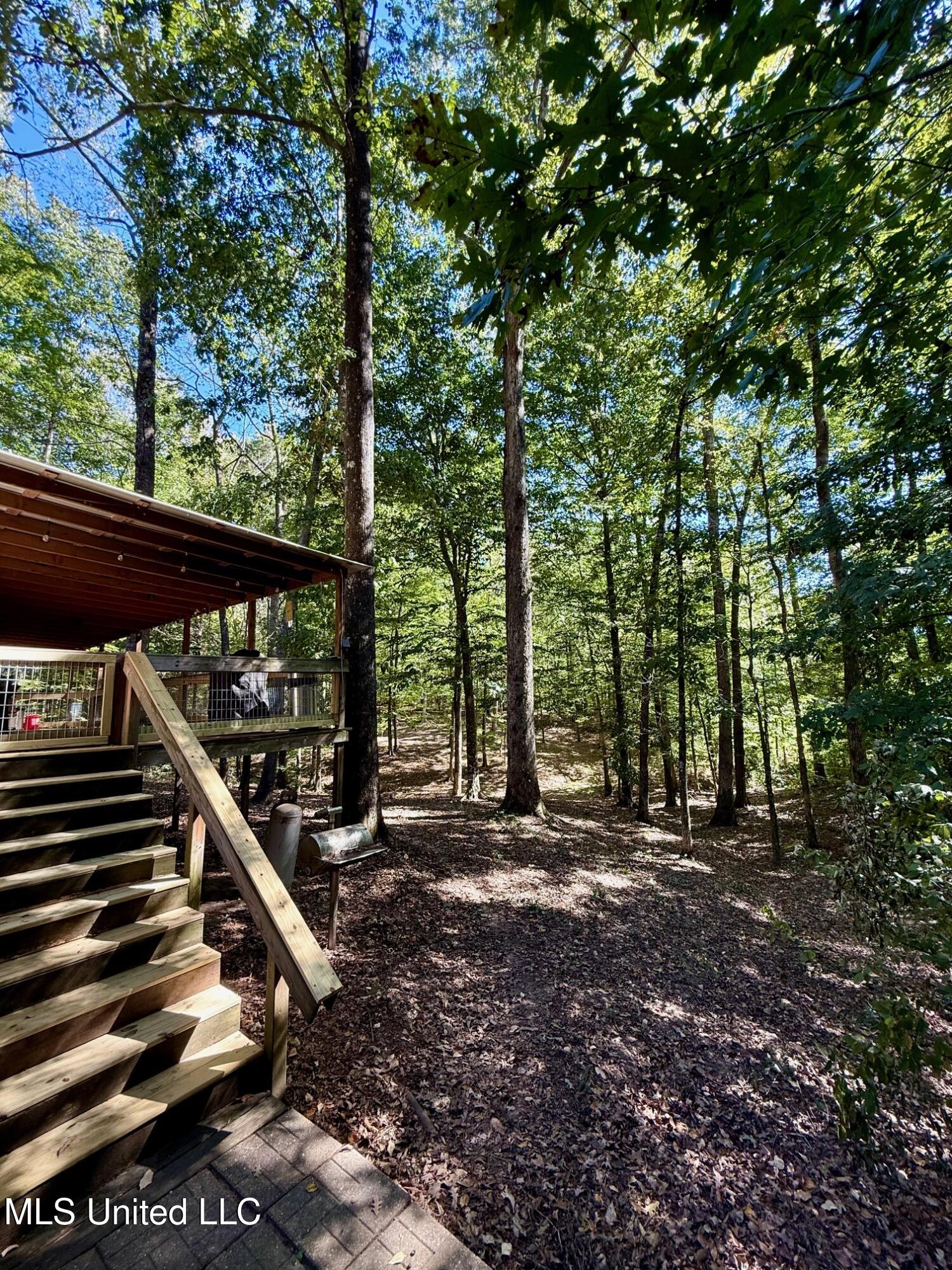 118 Craig Road Property Photo 47