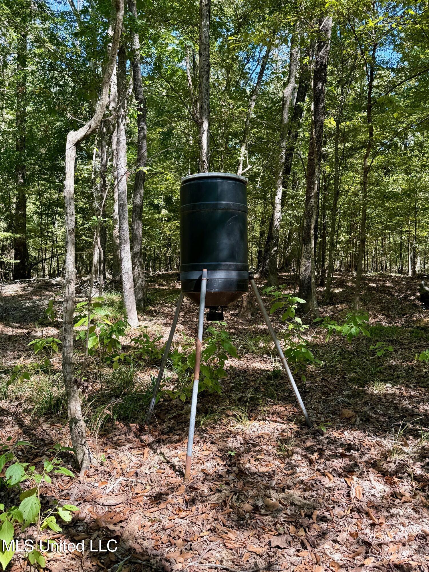 118 Craig Road Property Photo 48