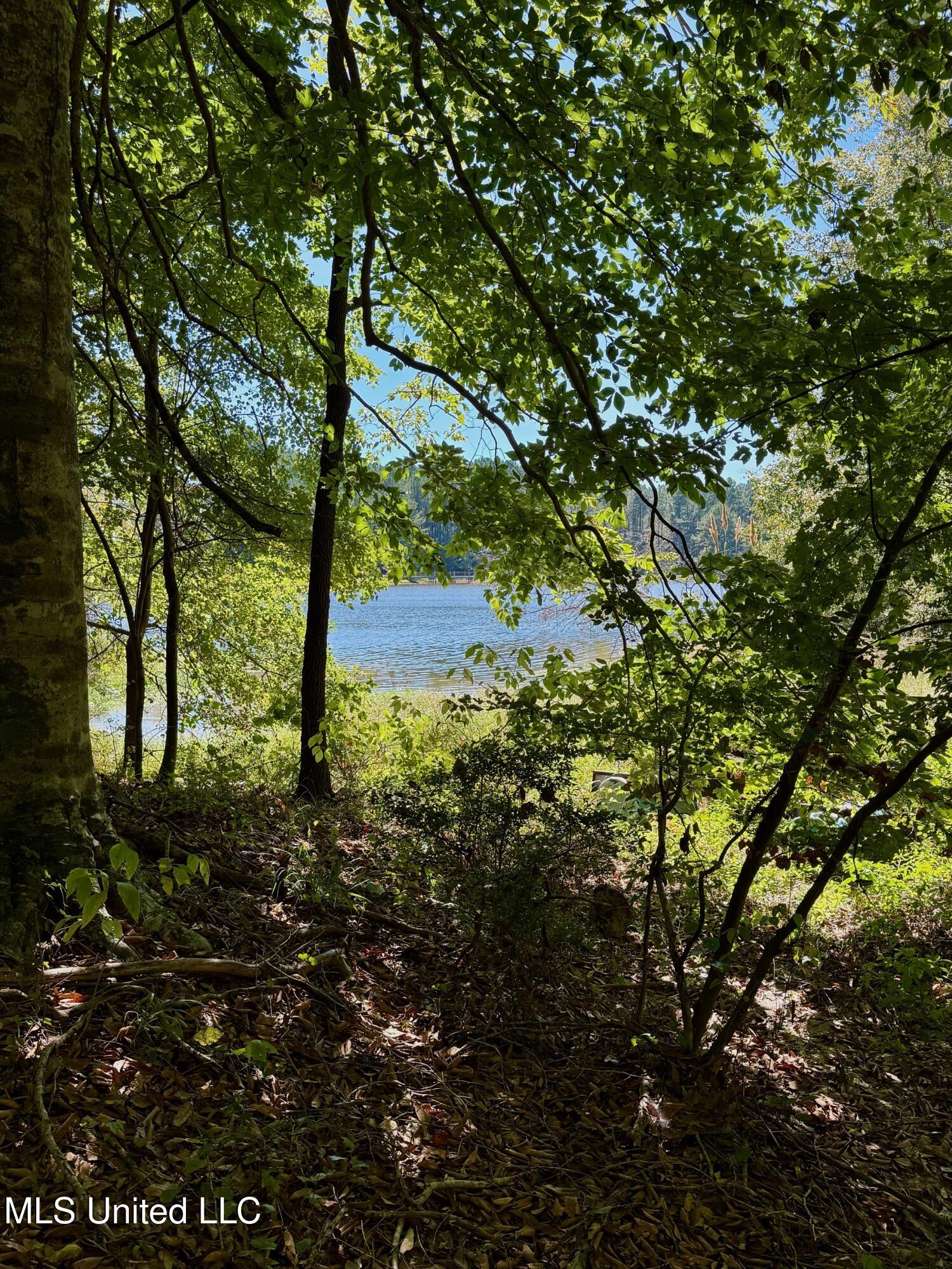 118 Craig Road Property Photo 49