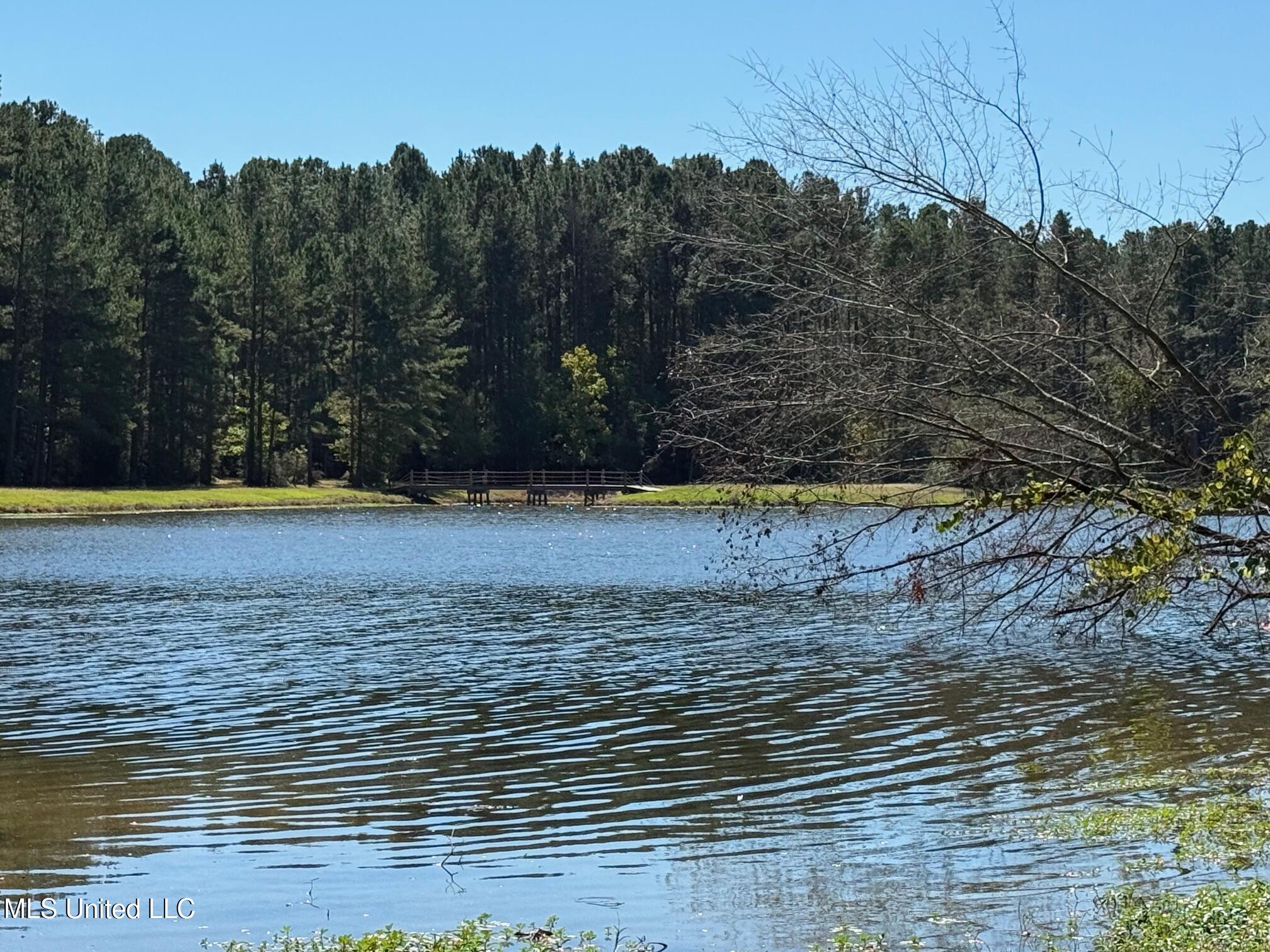 118 Craig Road Property Photo 50