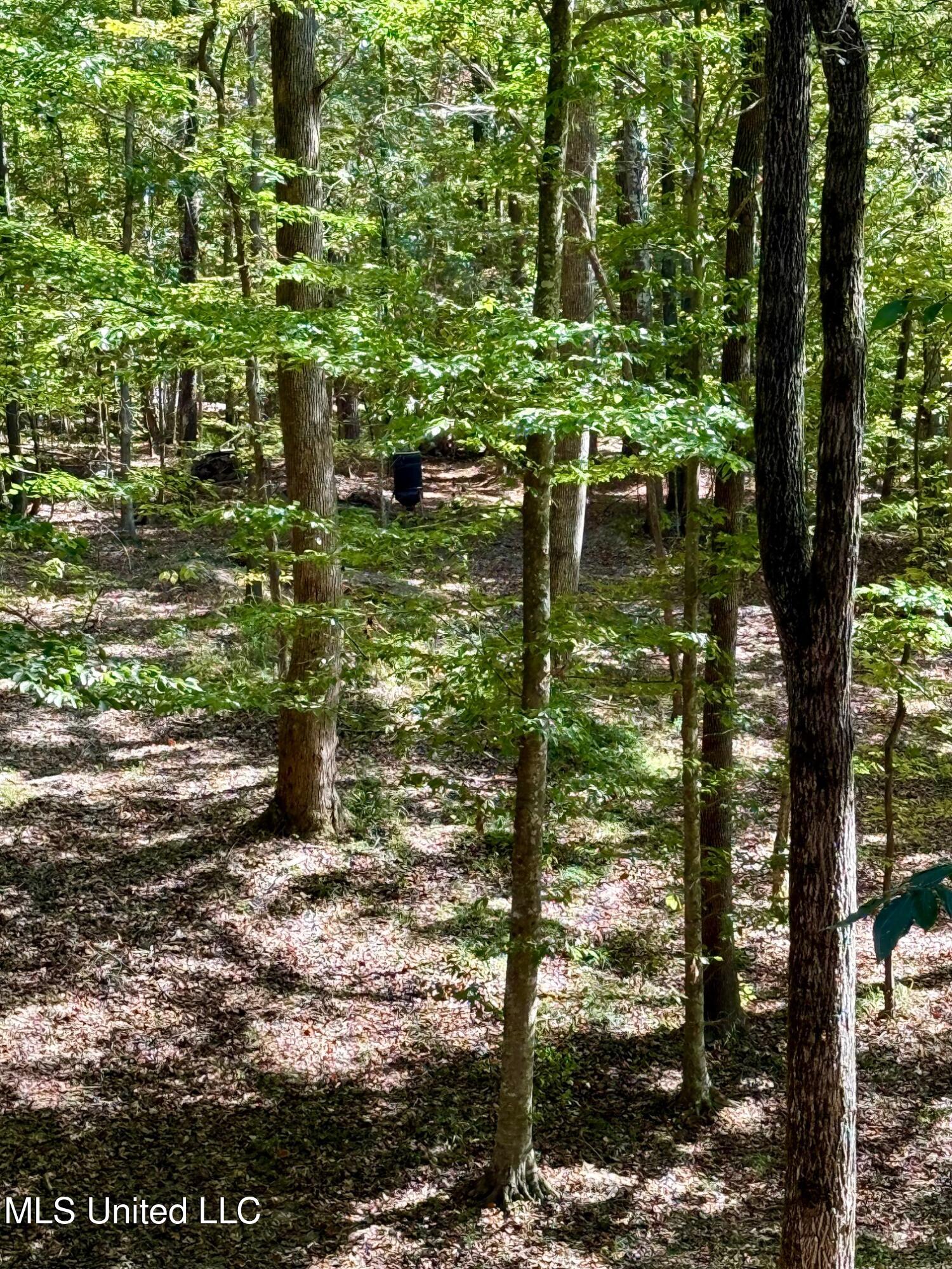 118 Craig Road Property Photo 51