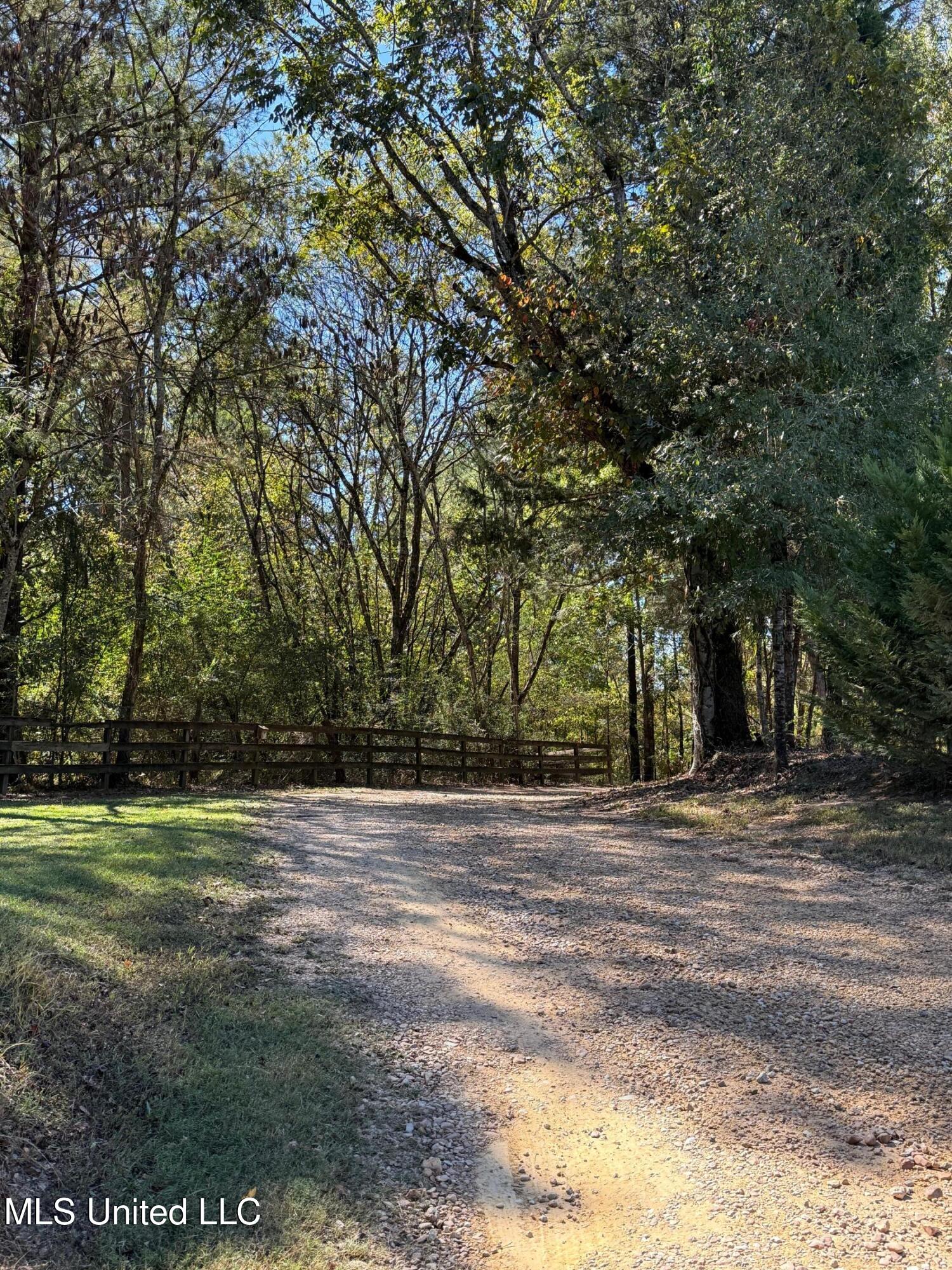 118 Craig Road Property Photo 52