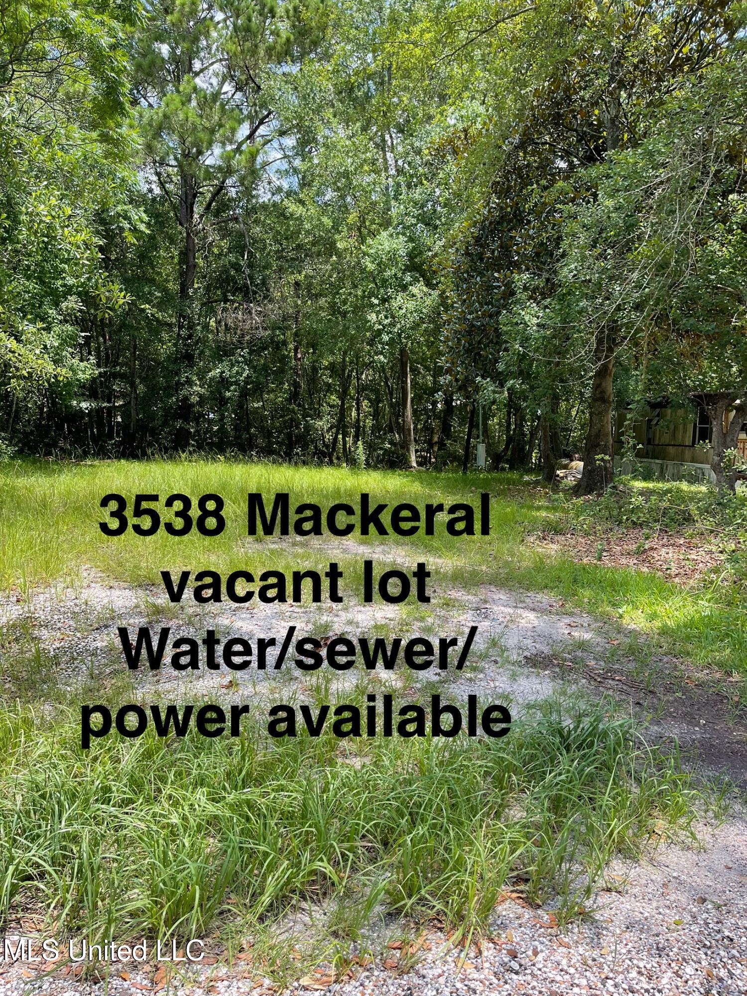 3538 Mackeral Drive Property Photo 1