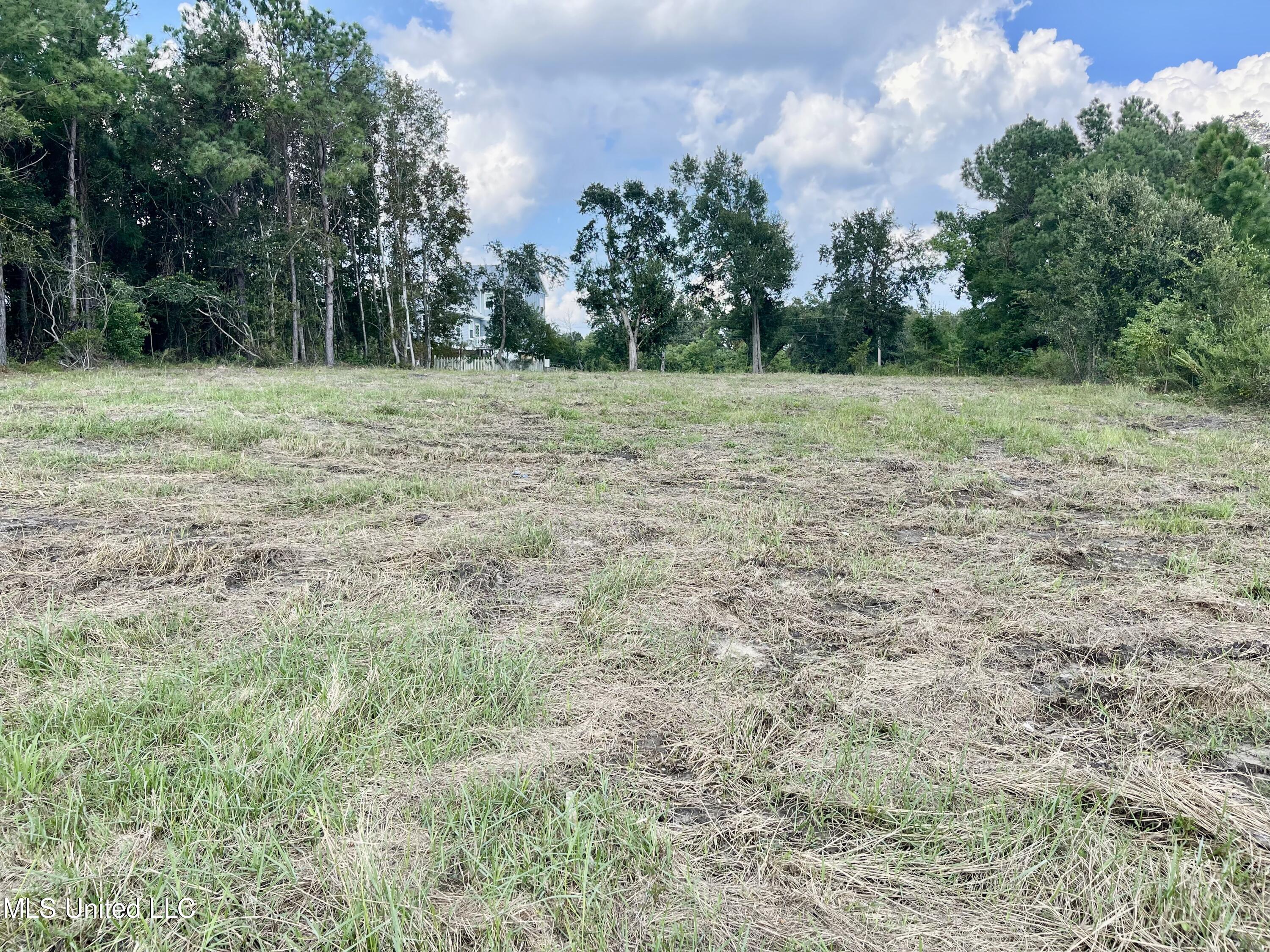 Lots 25 26 Terrace Avenue Property Photo 4