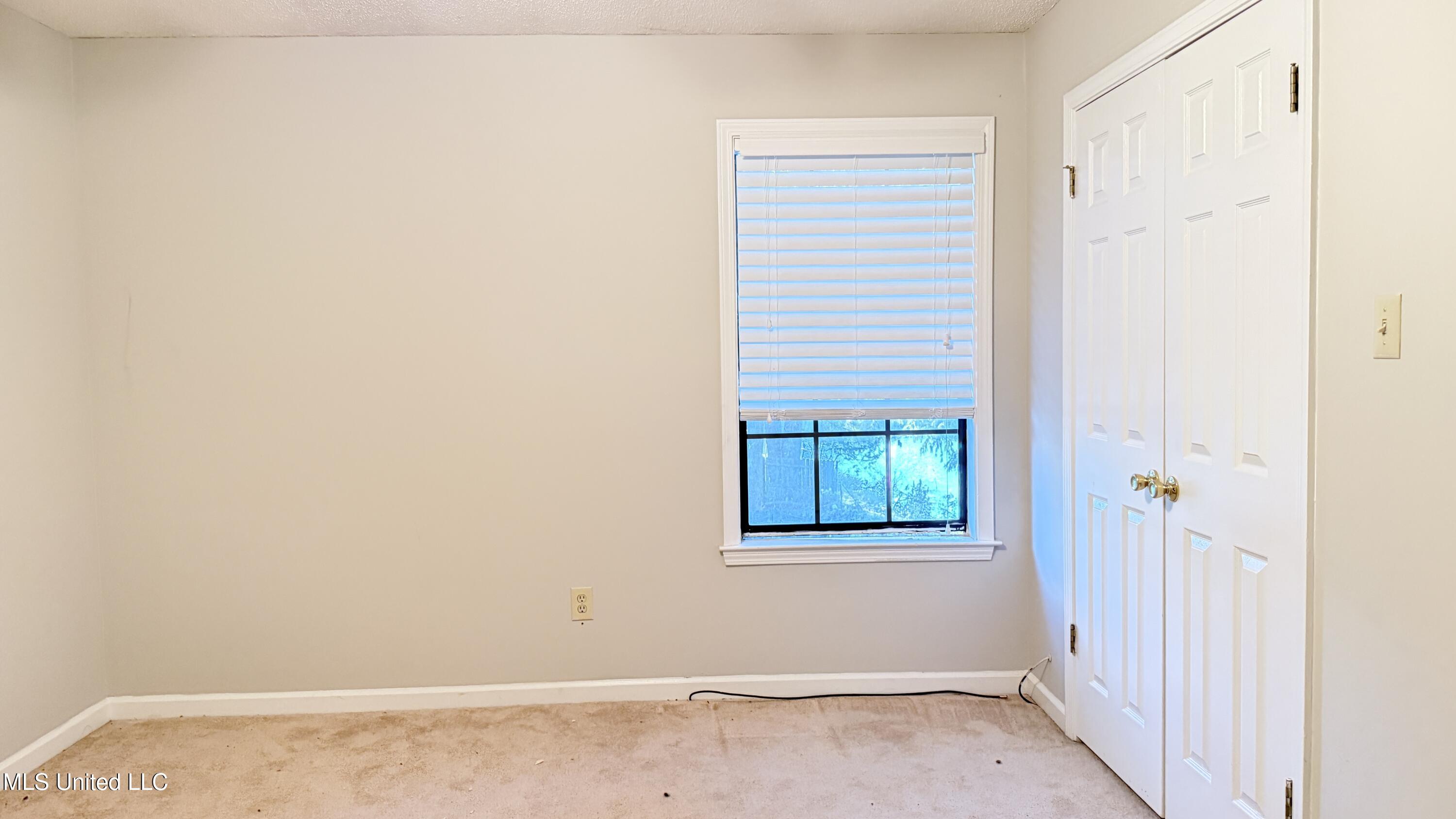 6641 Blue Spruce Drive Property Photo 15