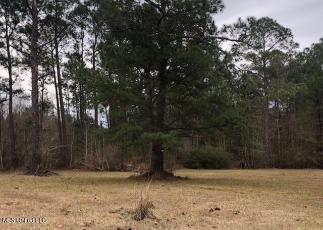 15654 Walter Smith Road Property Photo 2
