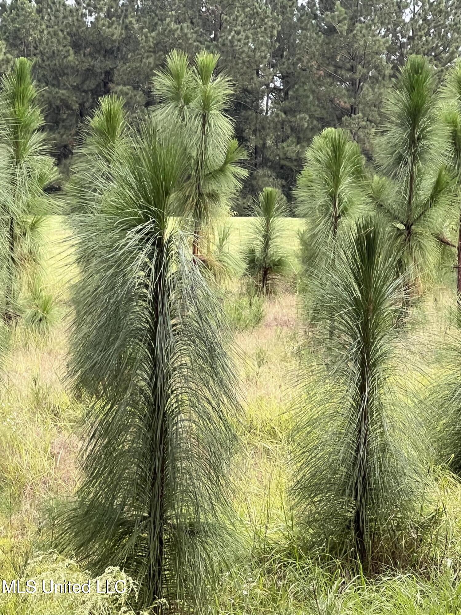 3930 Graves Road Property Photo 15