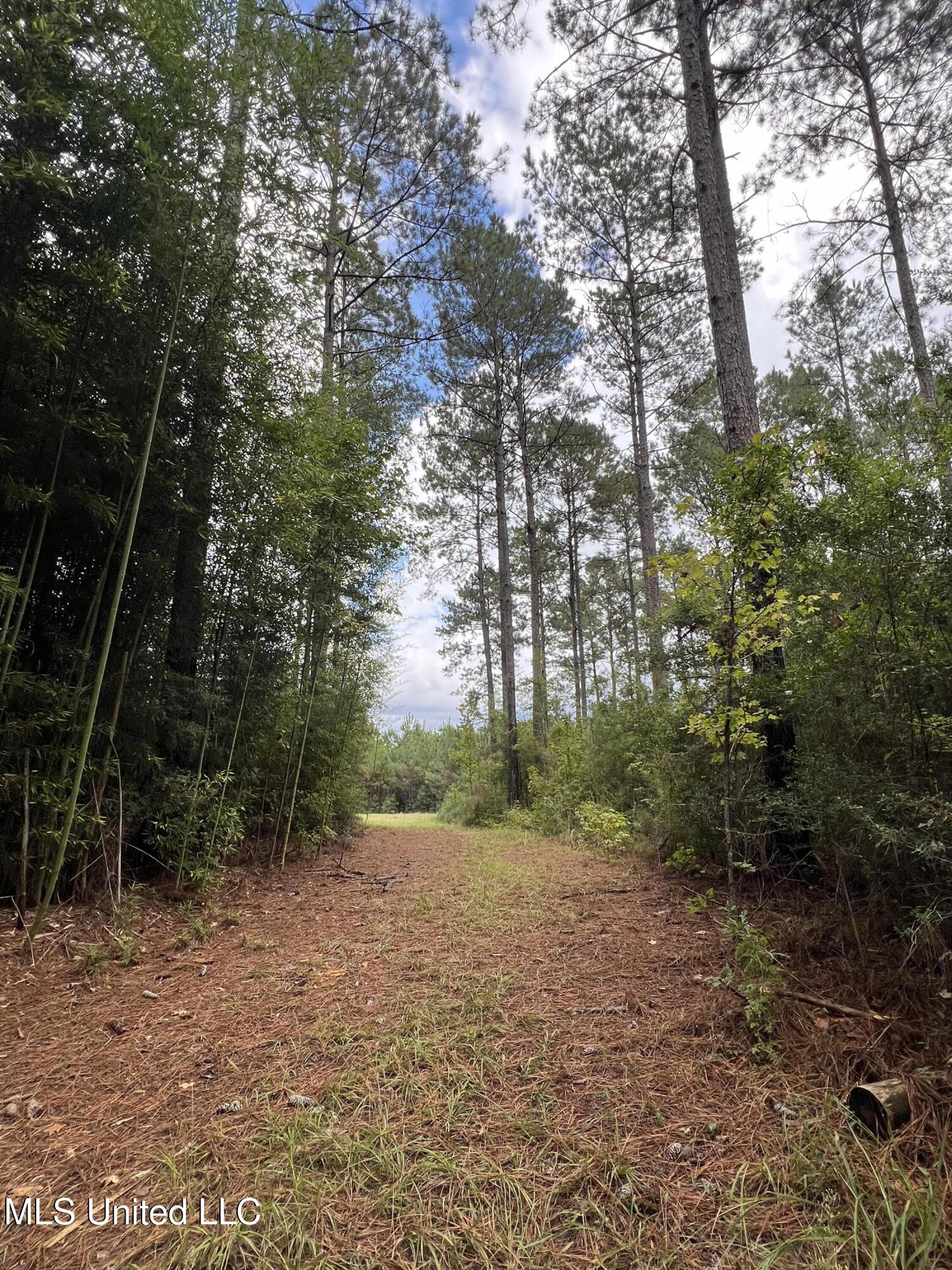 3930 Graves Road Property Photo 16