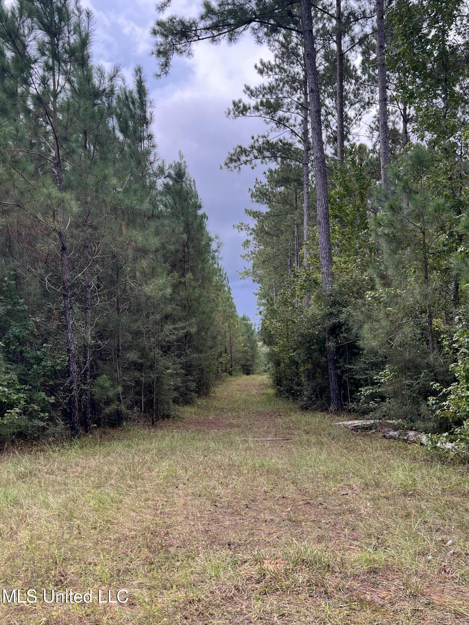 3930 Graves Road Property Photo 17