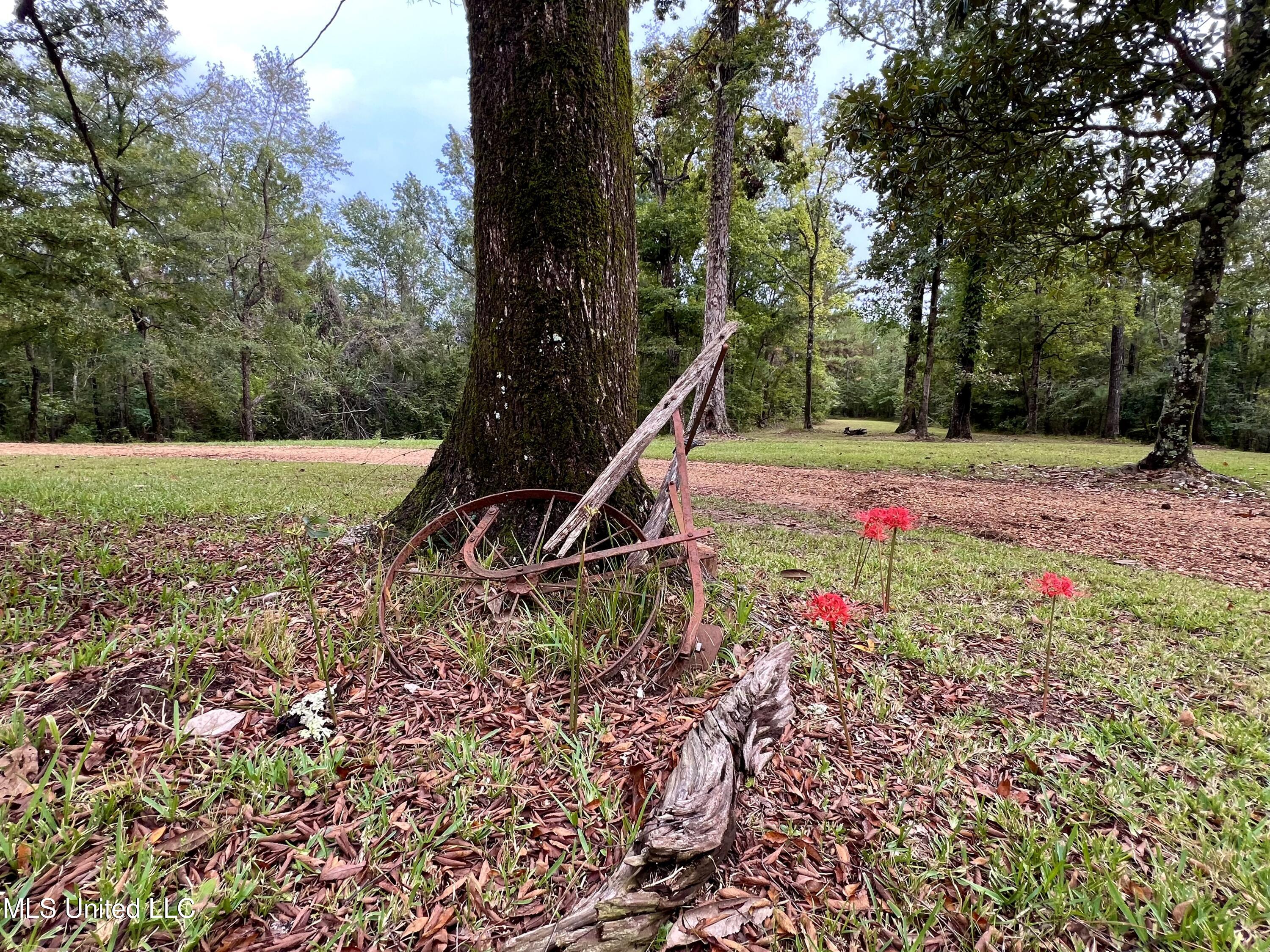 3930 Graves Road Property Photo 19