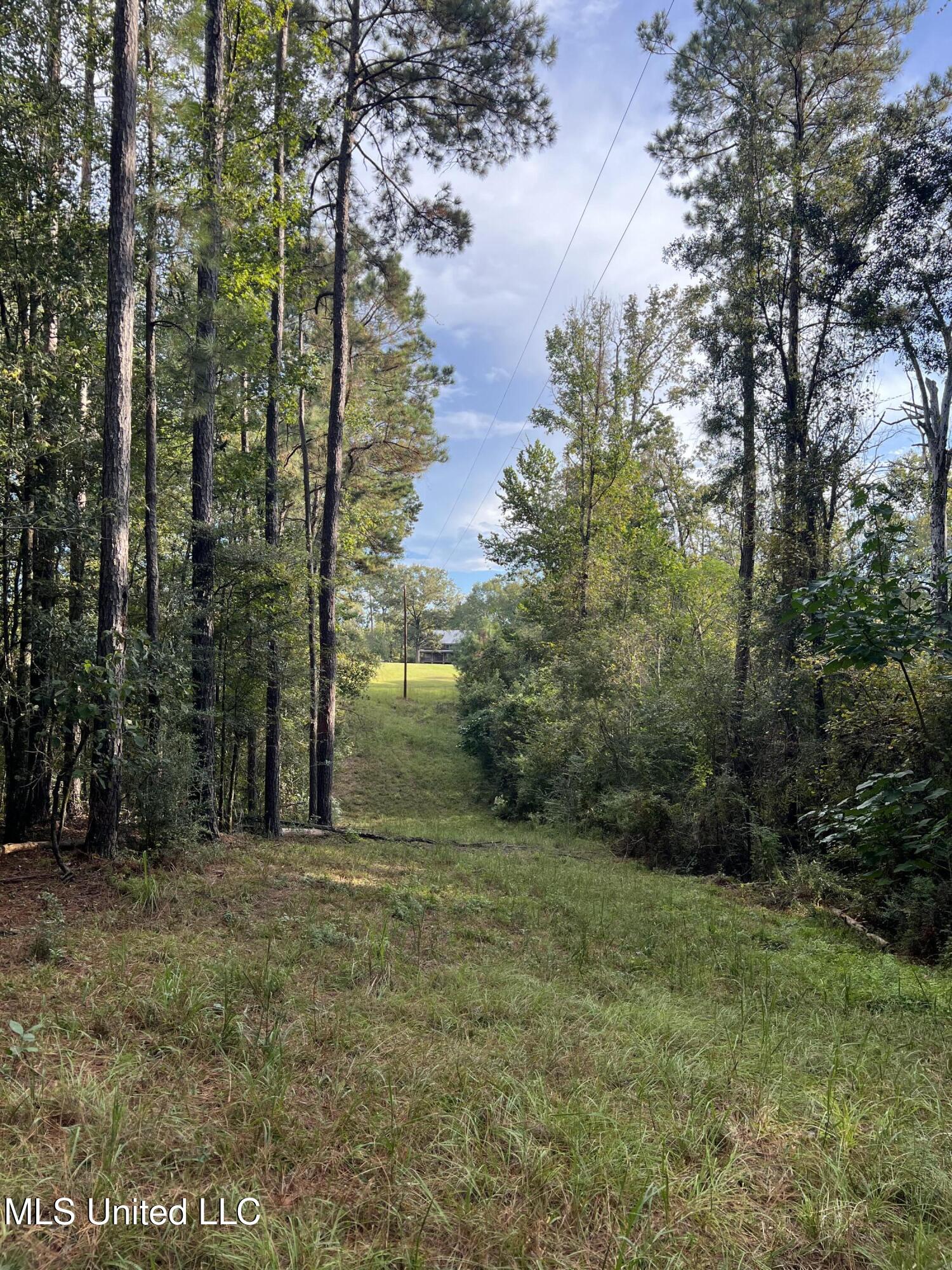 3930 Graves Road Property Photo 21