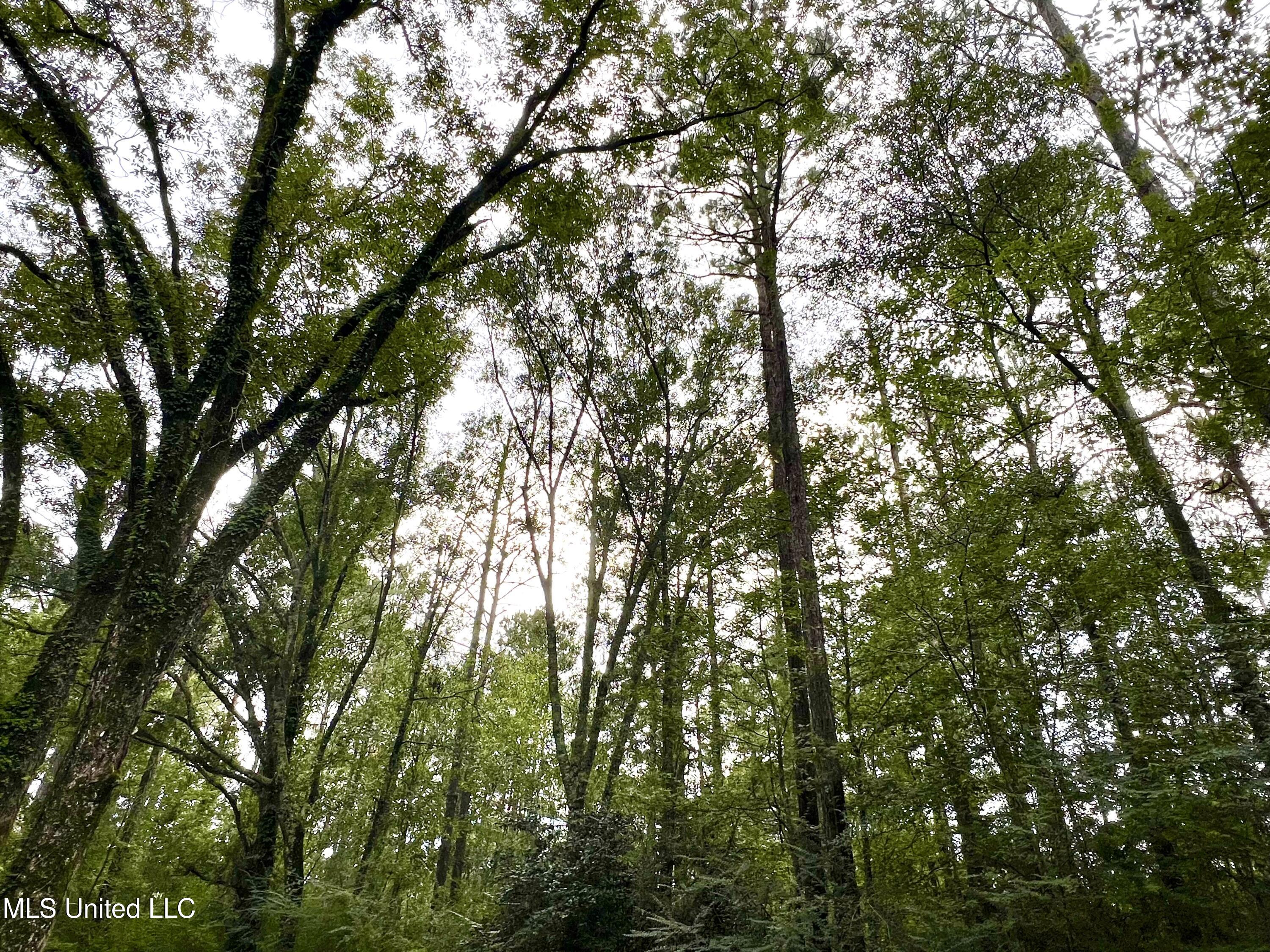 3930 Graves Road Property Photo 26