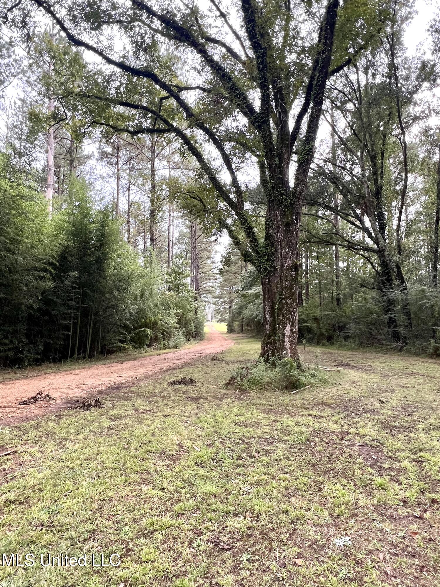 3930 Graves Road Property Photo 27