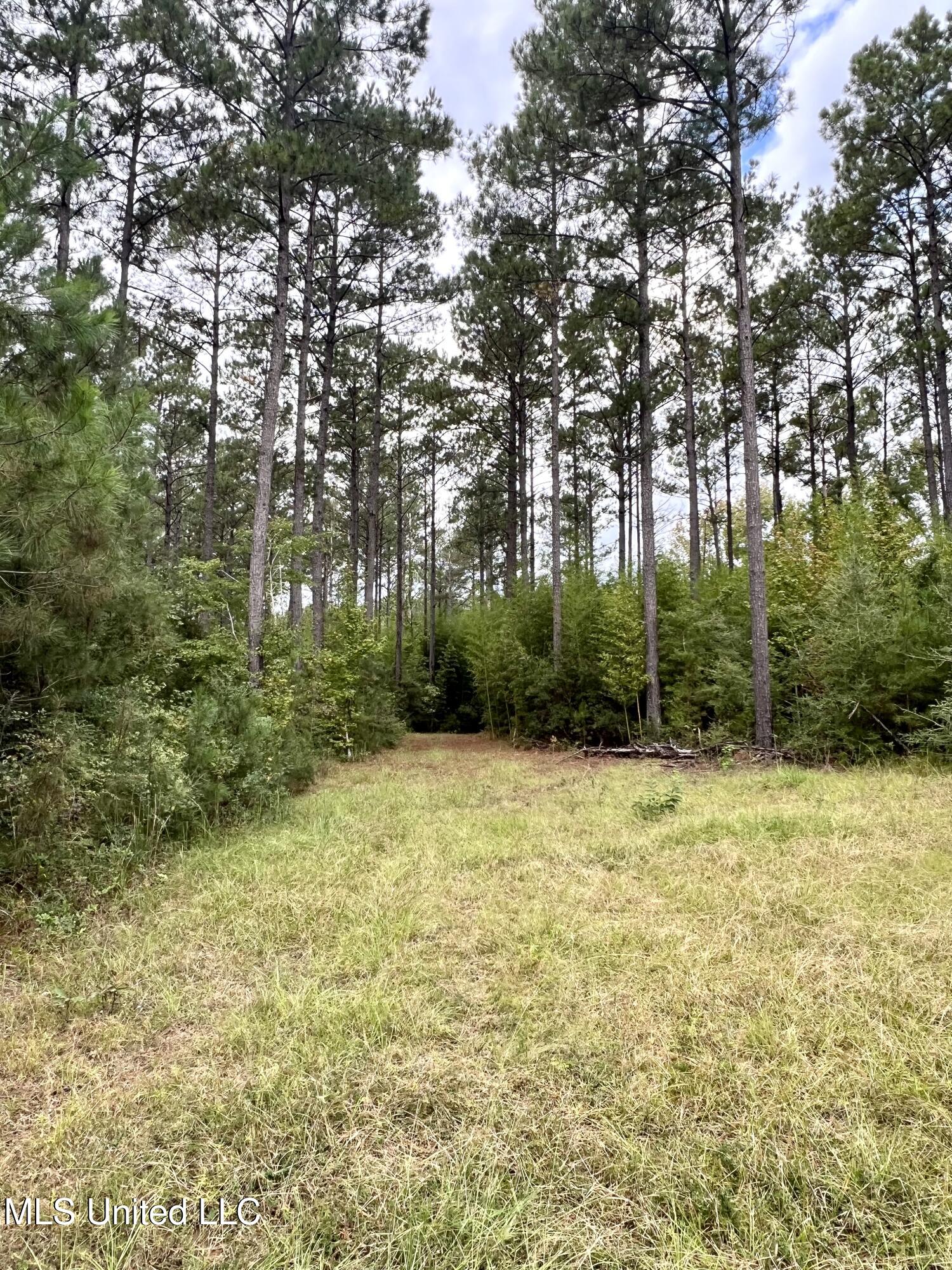 3930 Graves Road Property Photo 31