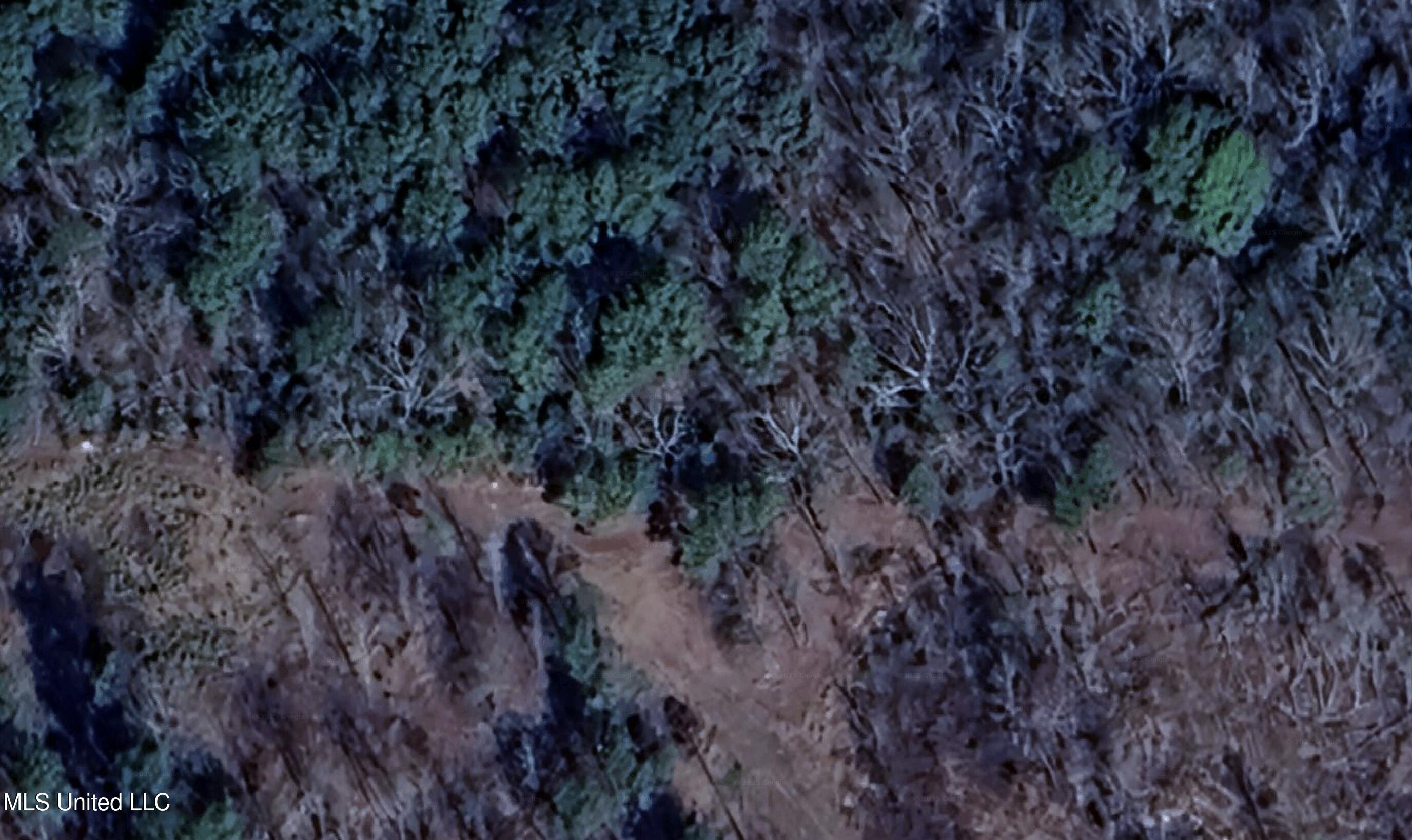 County Road 267 Property Photo 4