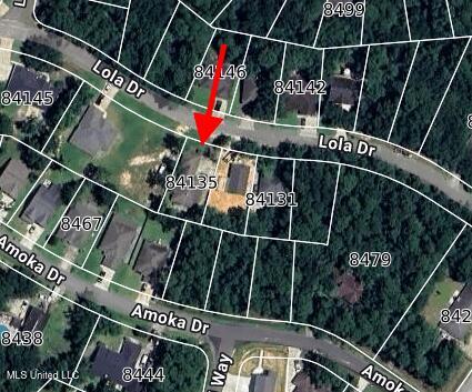 84135 Lola Drive Property Photo 45