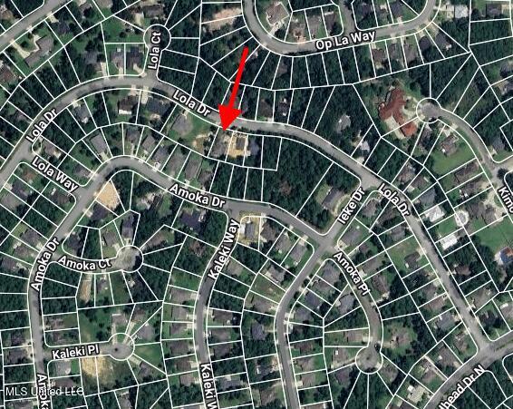 84135 Lola Drive Property Photo 46