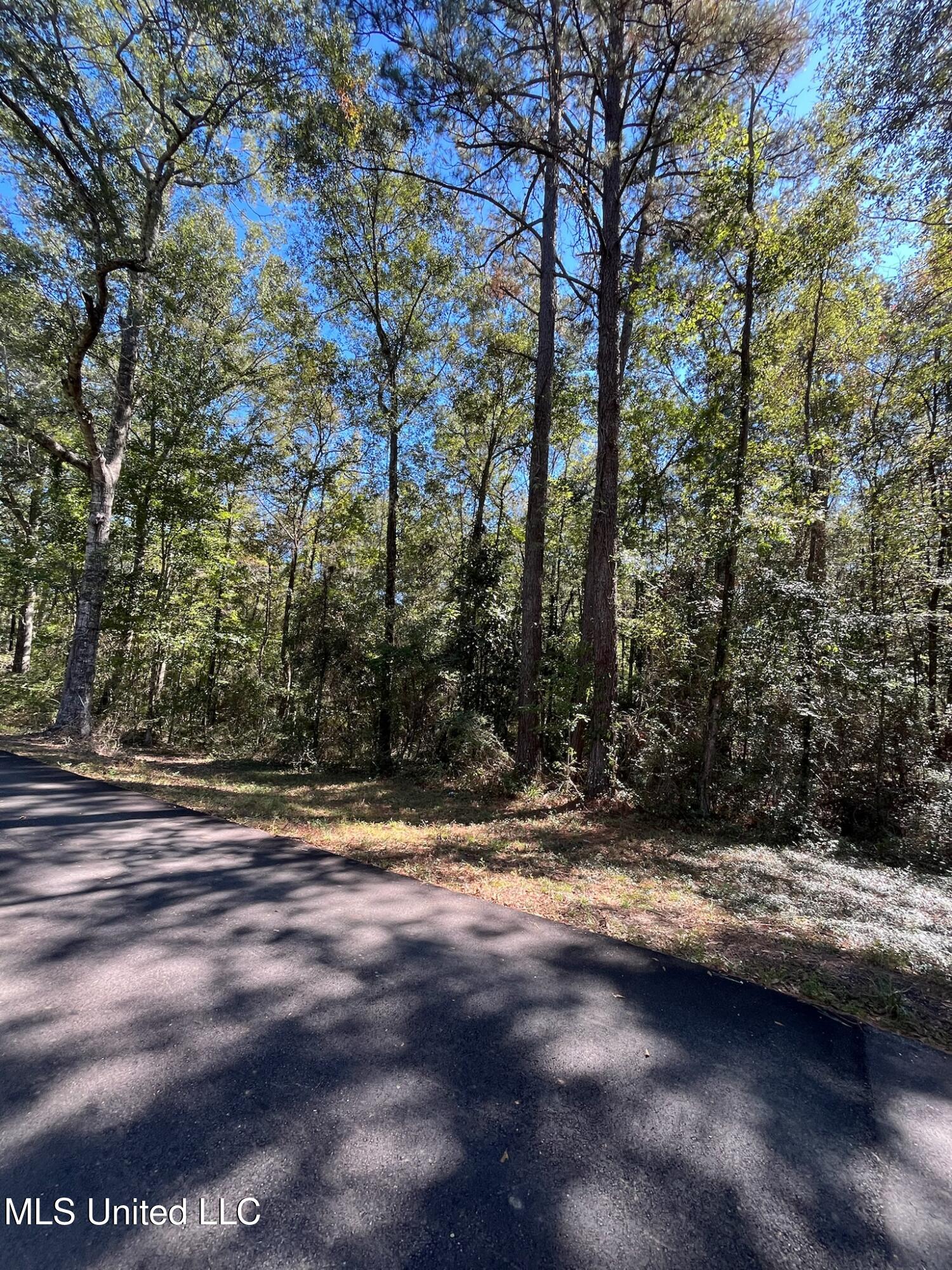 Hickory Drive Property Photo 4