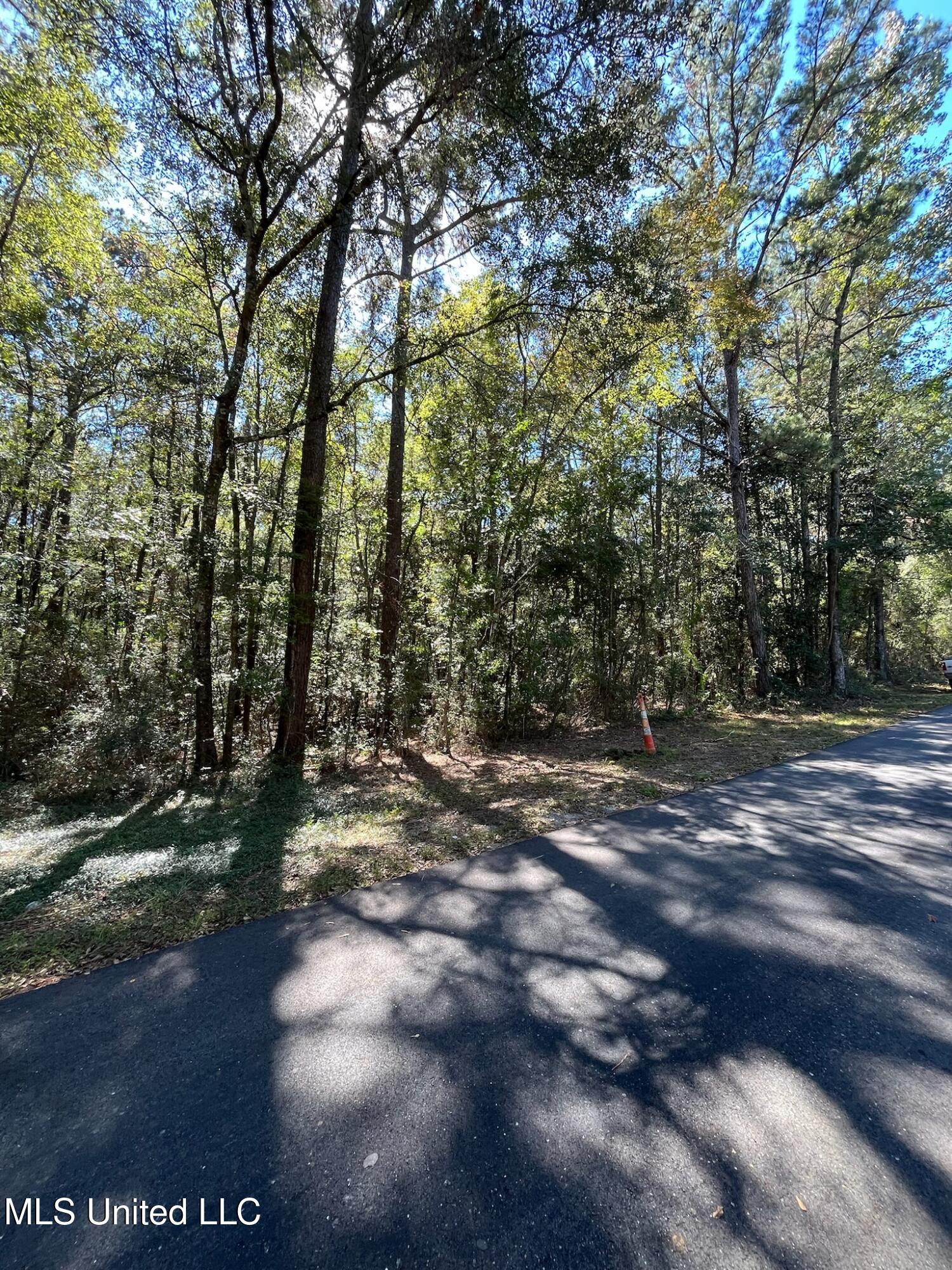 Hickory Drive Property Photo 5