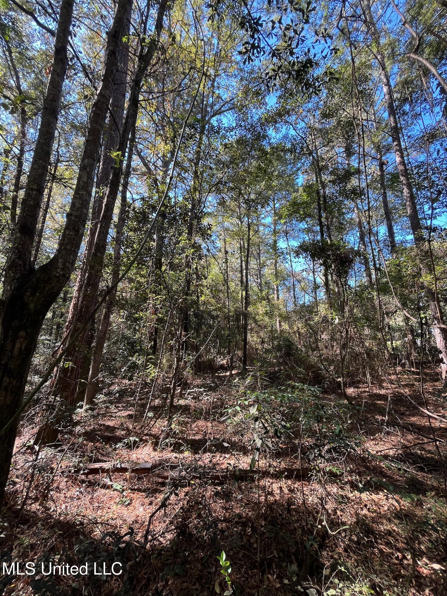 Hickory Drive Property Photo 6