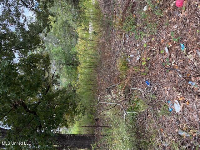 5505 Queen Mary Lane Property Photo 1