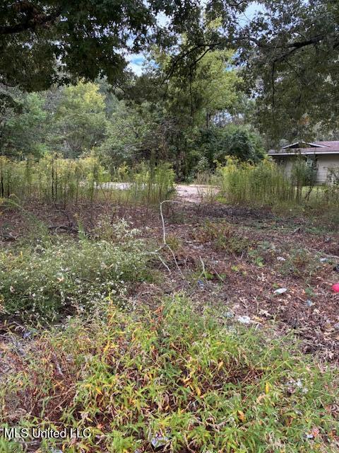 5505 Queen Mary Lane Property Photo 2