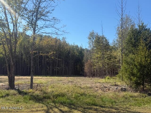 54 Shamrock Loop Property Photo 2