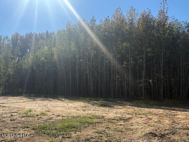 54 Shamrock Loop Property Photo 3