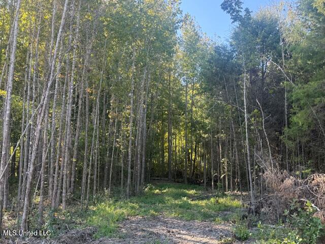 54 Shamrock Loop Property Photo 4