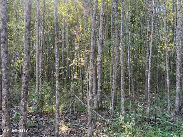 54 Shamrock Loop Property Photo 5