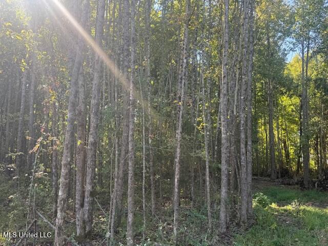 54 Shamrock Loop Property Photo 6