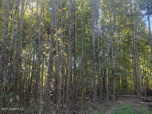 54 Shamrock Loop Property Photo 7