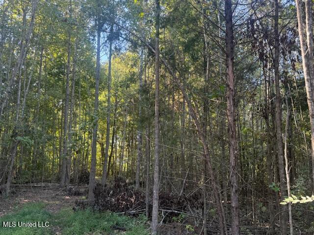 54 Shamrock Loop Property Photo 8