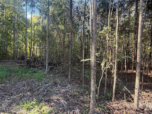 54 Shamrock Loop Property Photo 9