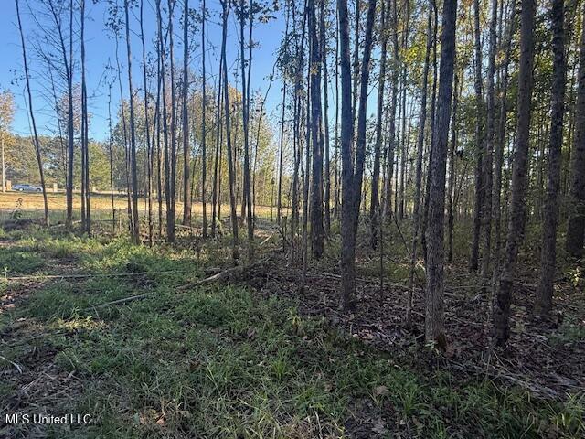 54 Shamrock Loop Property Photo 10