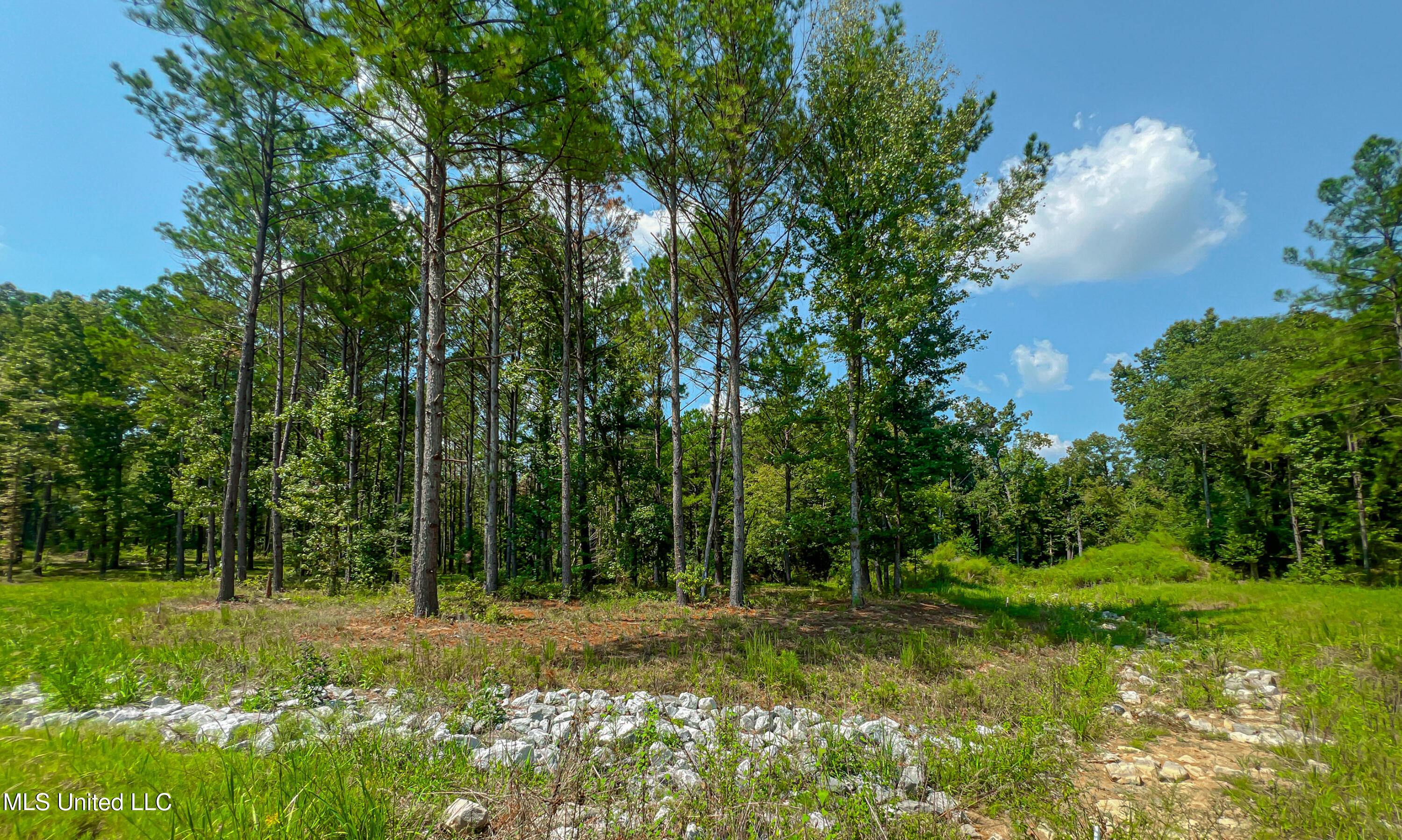 167 Hunters Cove Property Photo 3