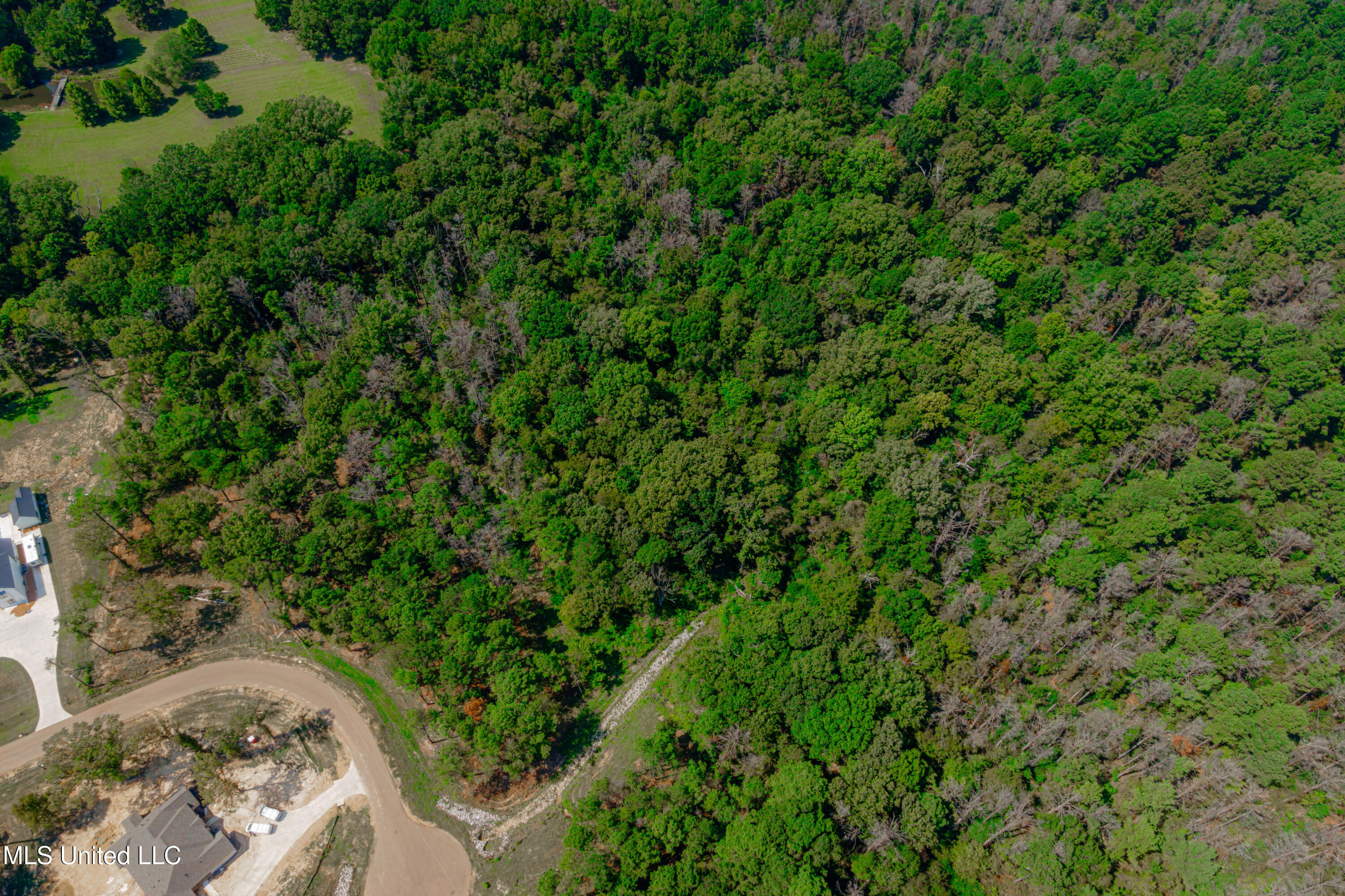 167 Hunters Cove Property Photo 4