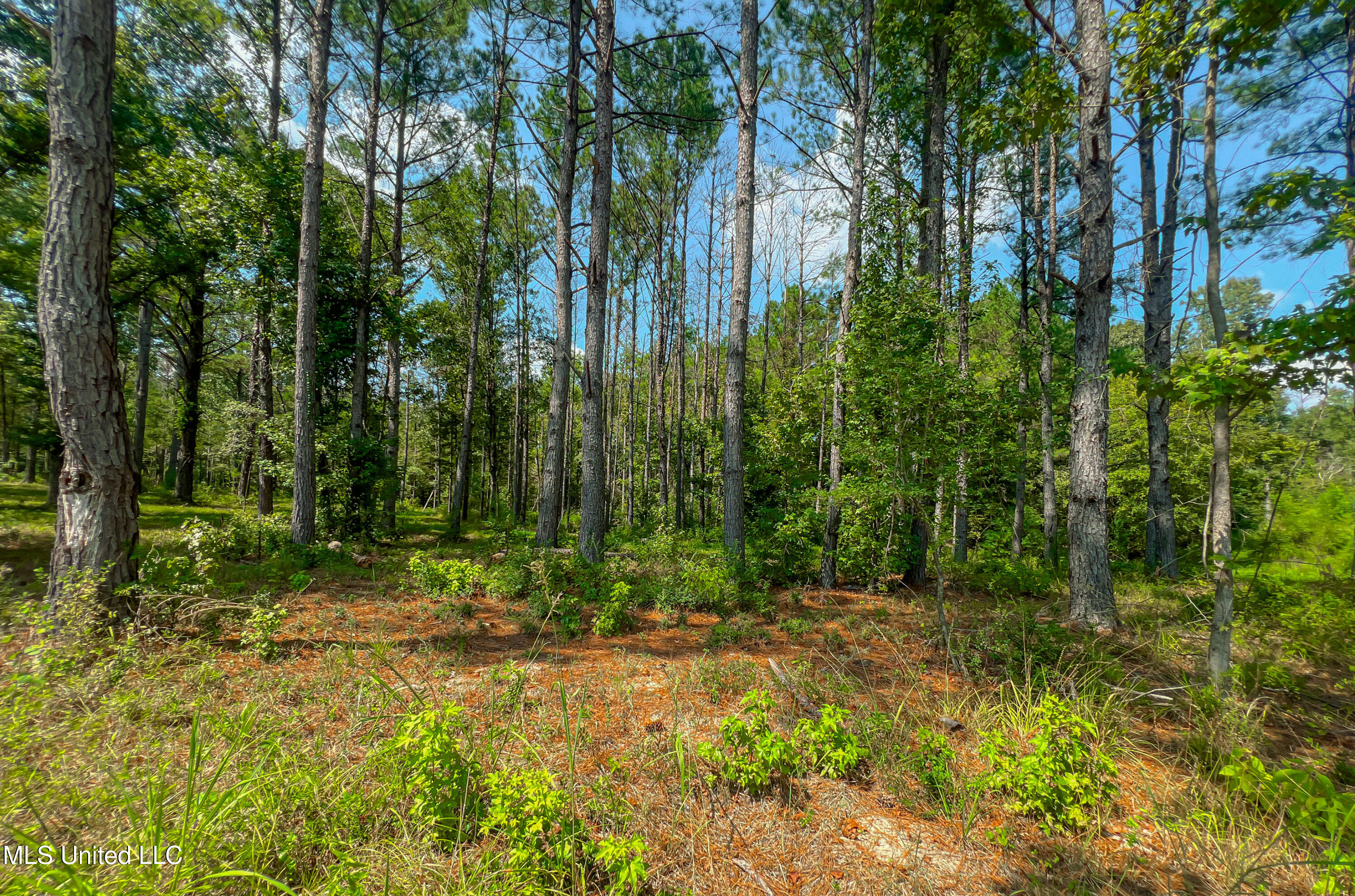 167 Hunters Cove Property Photo 8