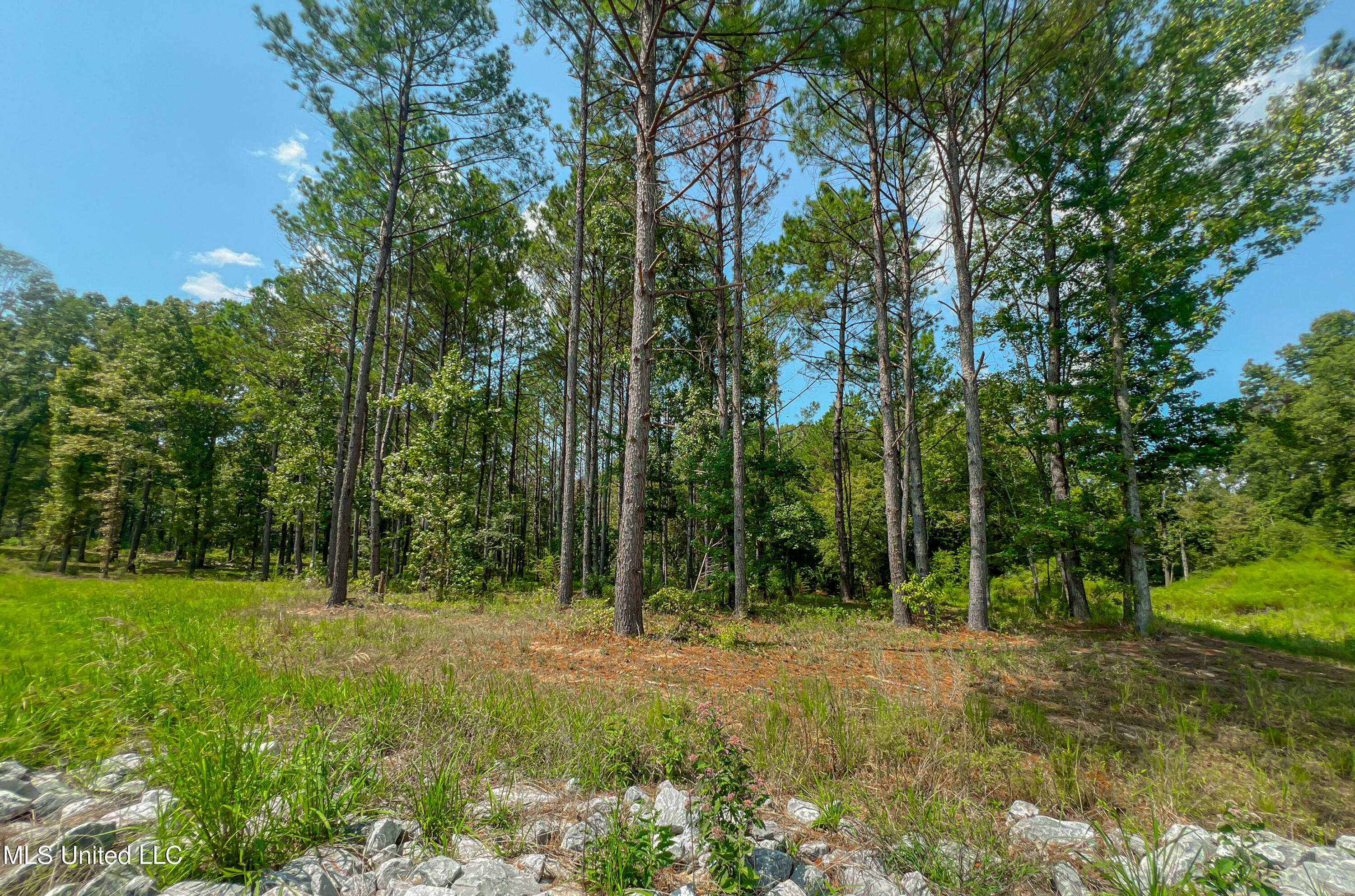 167 Hunters Cove Property Photo 9