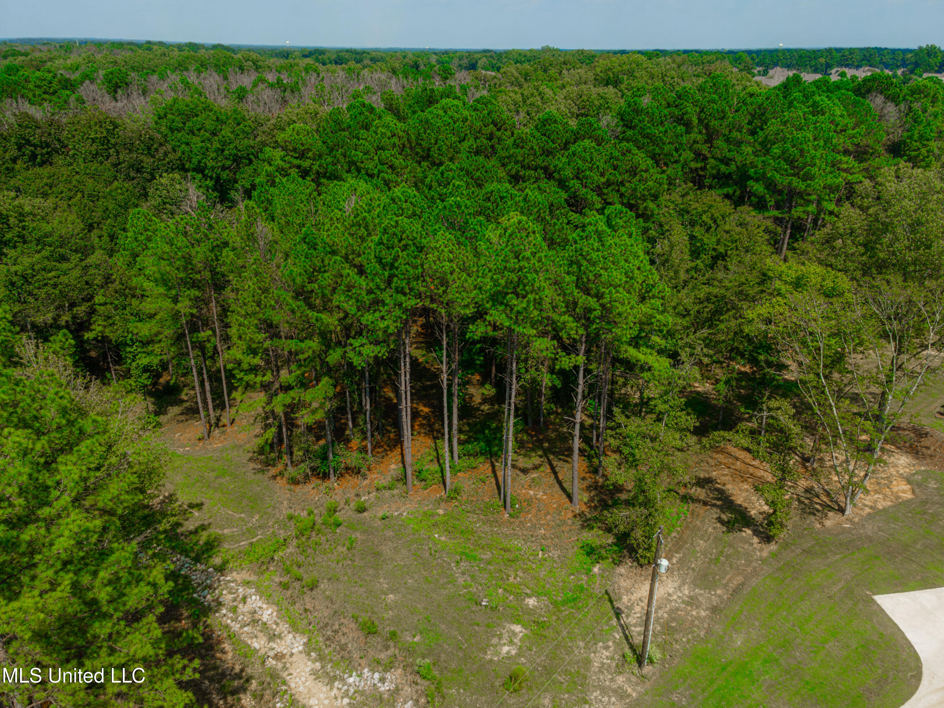 175 Hunters Cove Property Photo 5