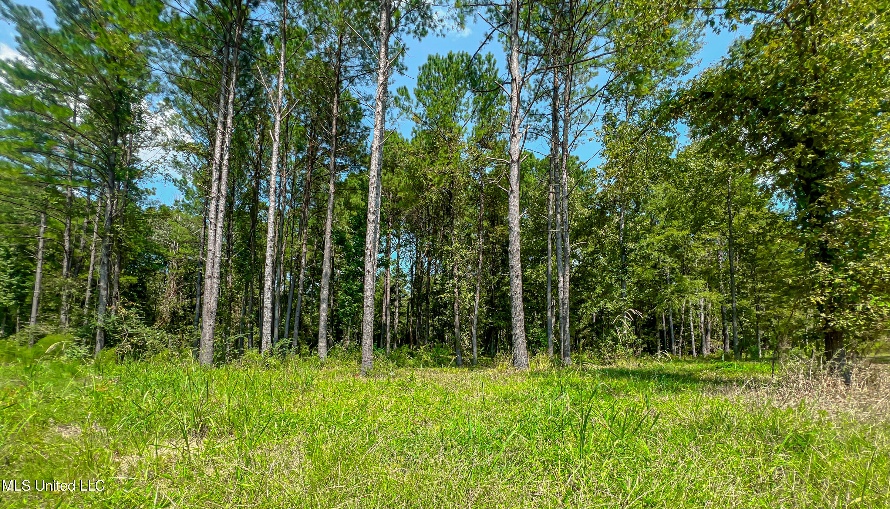 175 Hunters Cove Property Photo 7