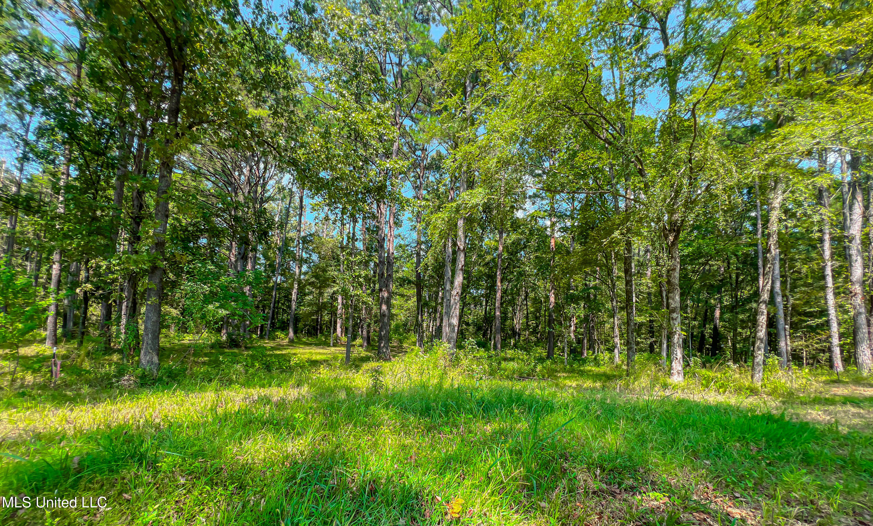 175 Hunters Cove Property Photo 8