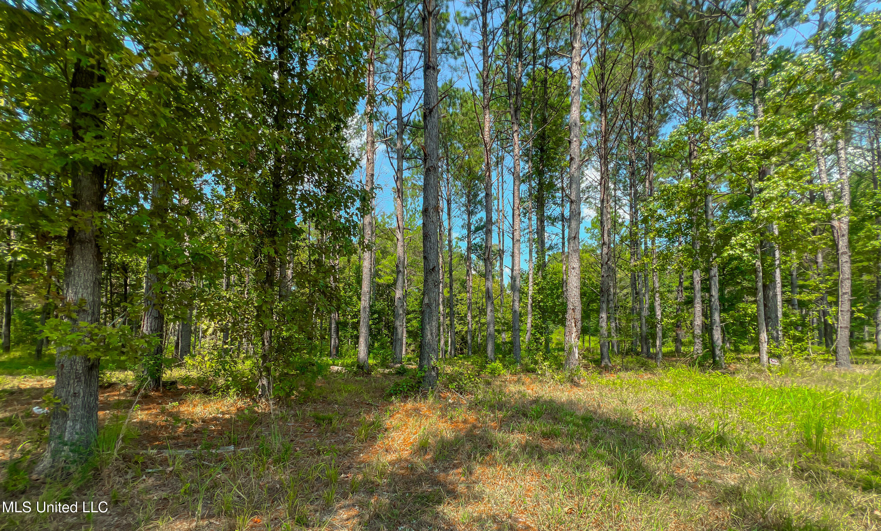 175 Hunters Cove Property Photo 9