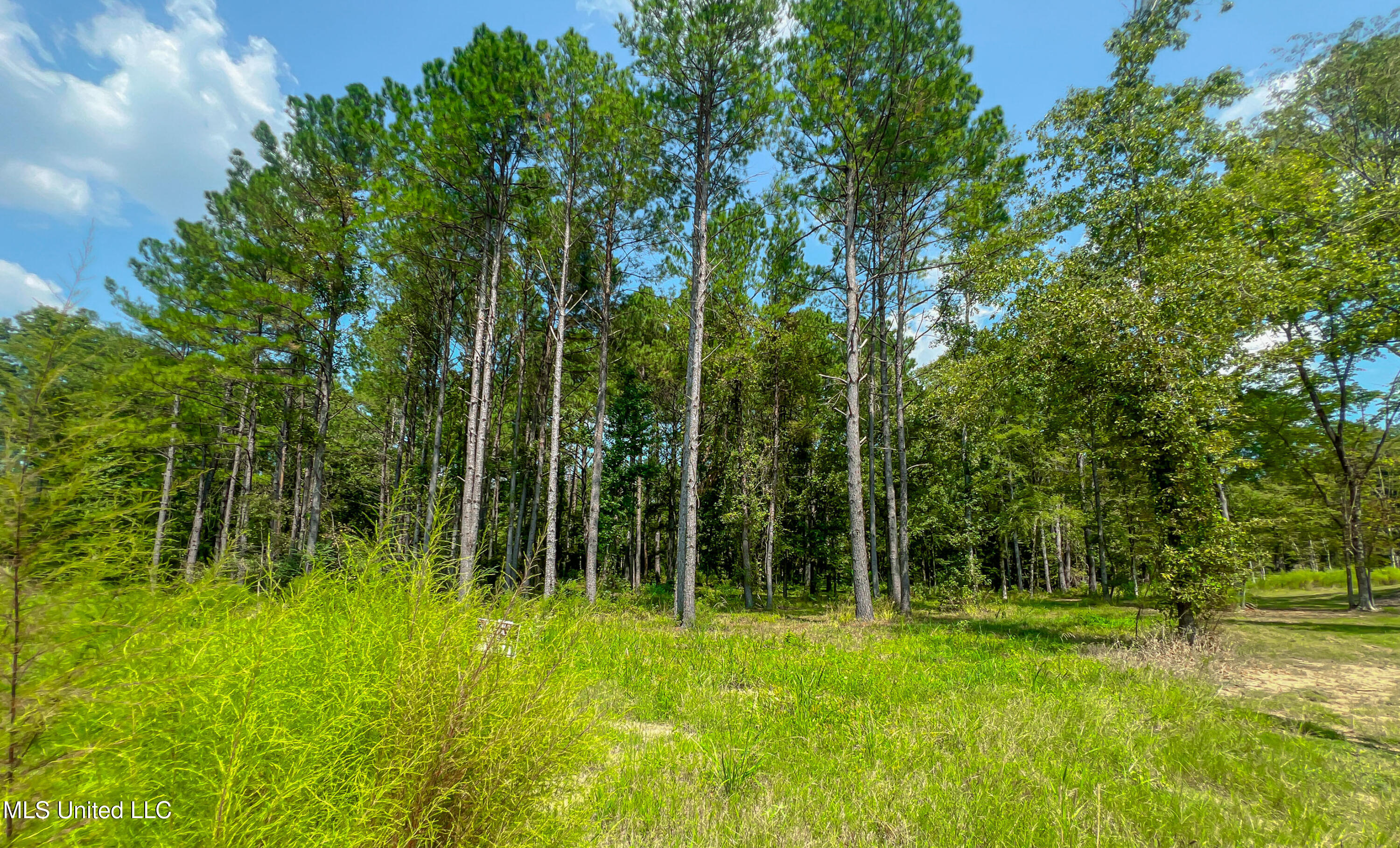 175 Hunters Cove Property Photo 10