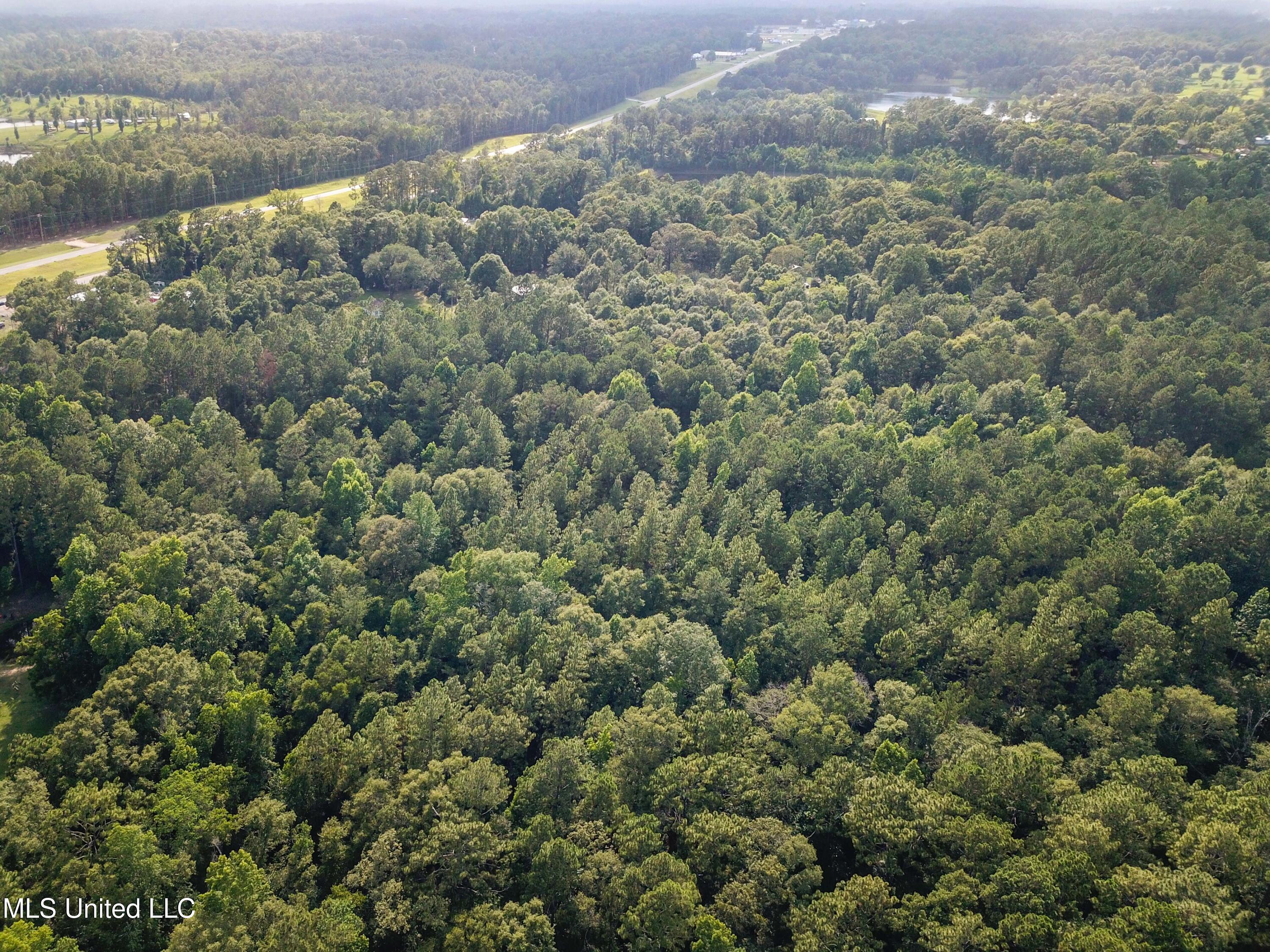 Tbd Old Mobile Highway Property Photo 5