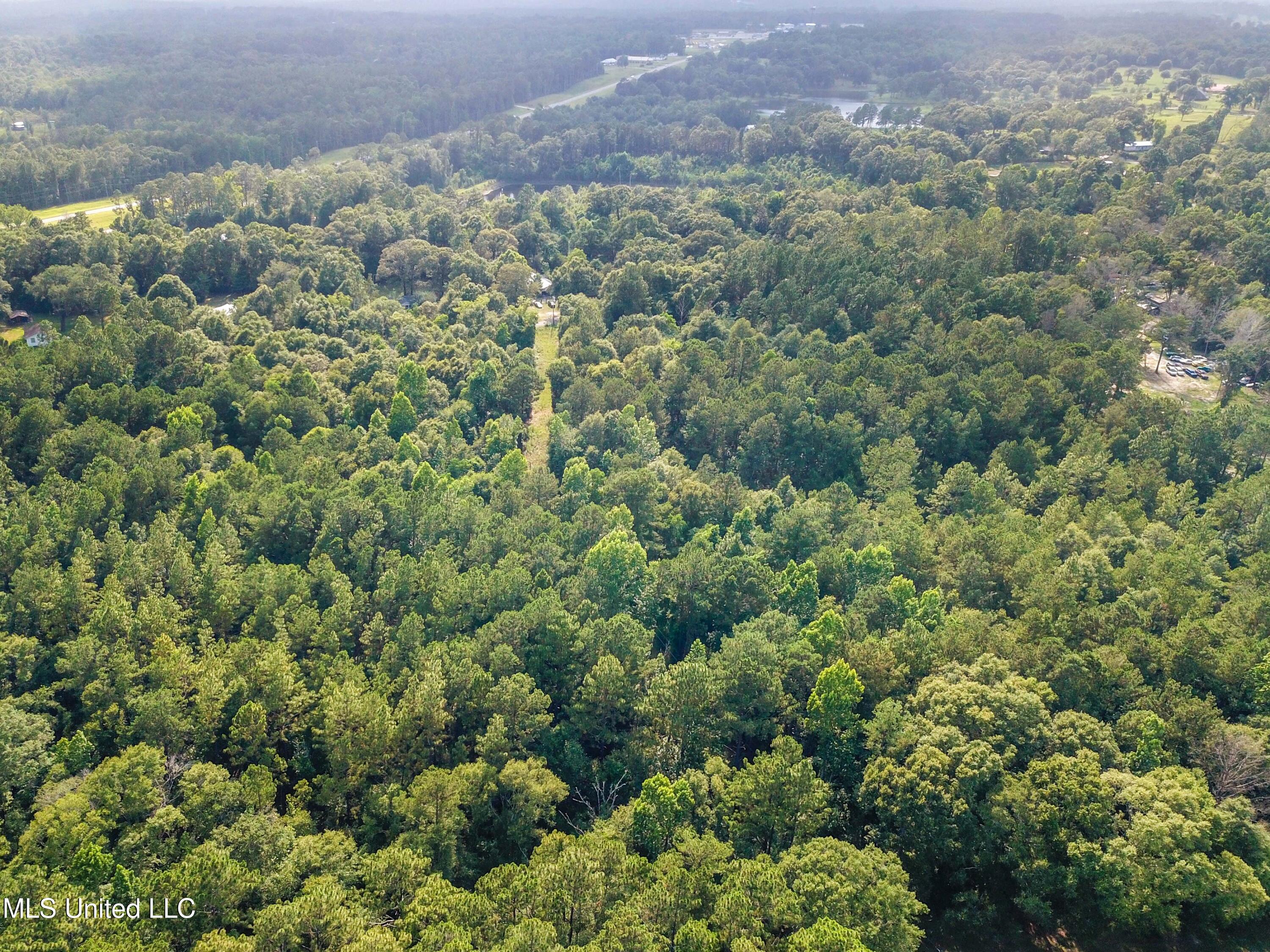 Tbd Old Mobile Highway Property Photo 6